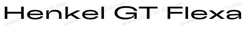 Henkel GT Flexa Rg字体转换